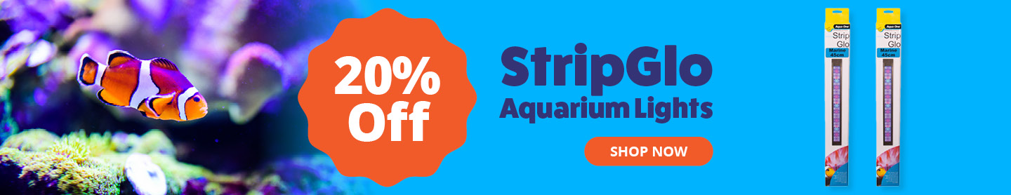 StripGlo aquarium lights 20% Off