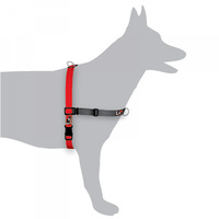 Black Dog Balance Harness Red Small