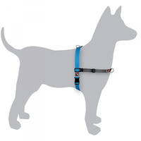 Black Dog Balance Harness Blue Medium