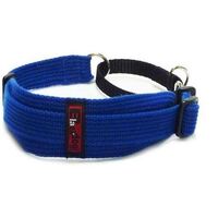 Blackdog Sight Hound Dog Collar Blue
