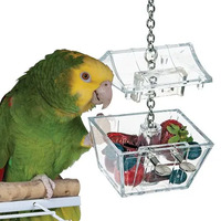 Creative Foraging Parrot's Treasure