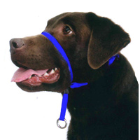Beau Pets Gentle Leader Dog Head Collar Medium Blue