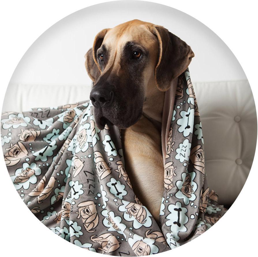 La doggie vita 2025 blanket