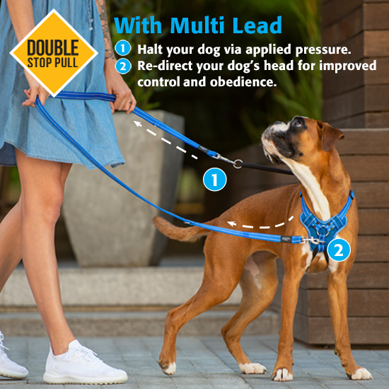 rogz harness