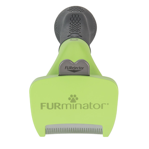 Furminator short hair small dog cheap