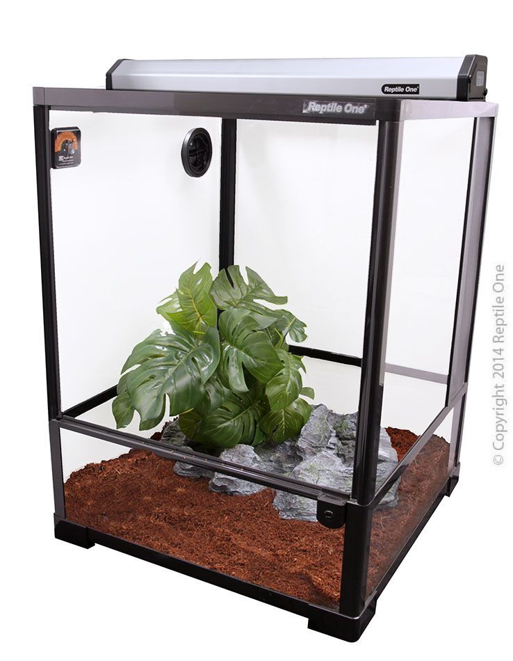 Snake best sale enclosure afterpay