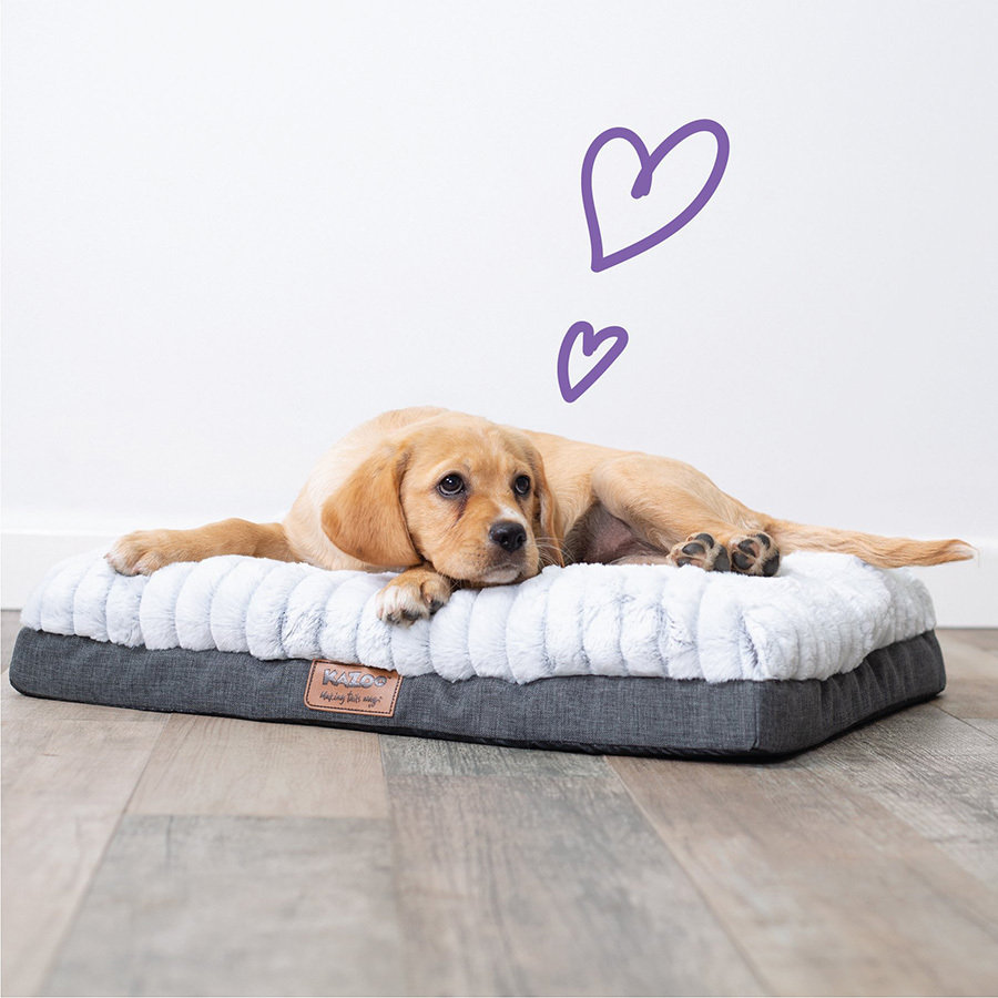 Kazoo Dog Beds & Mattresses