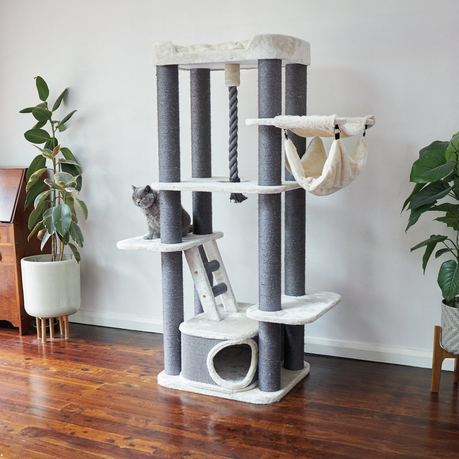 kazoo cat tree