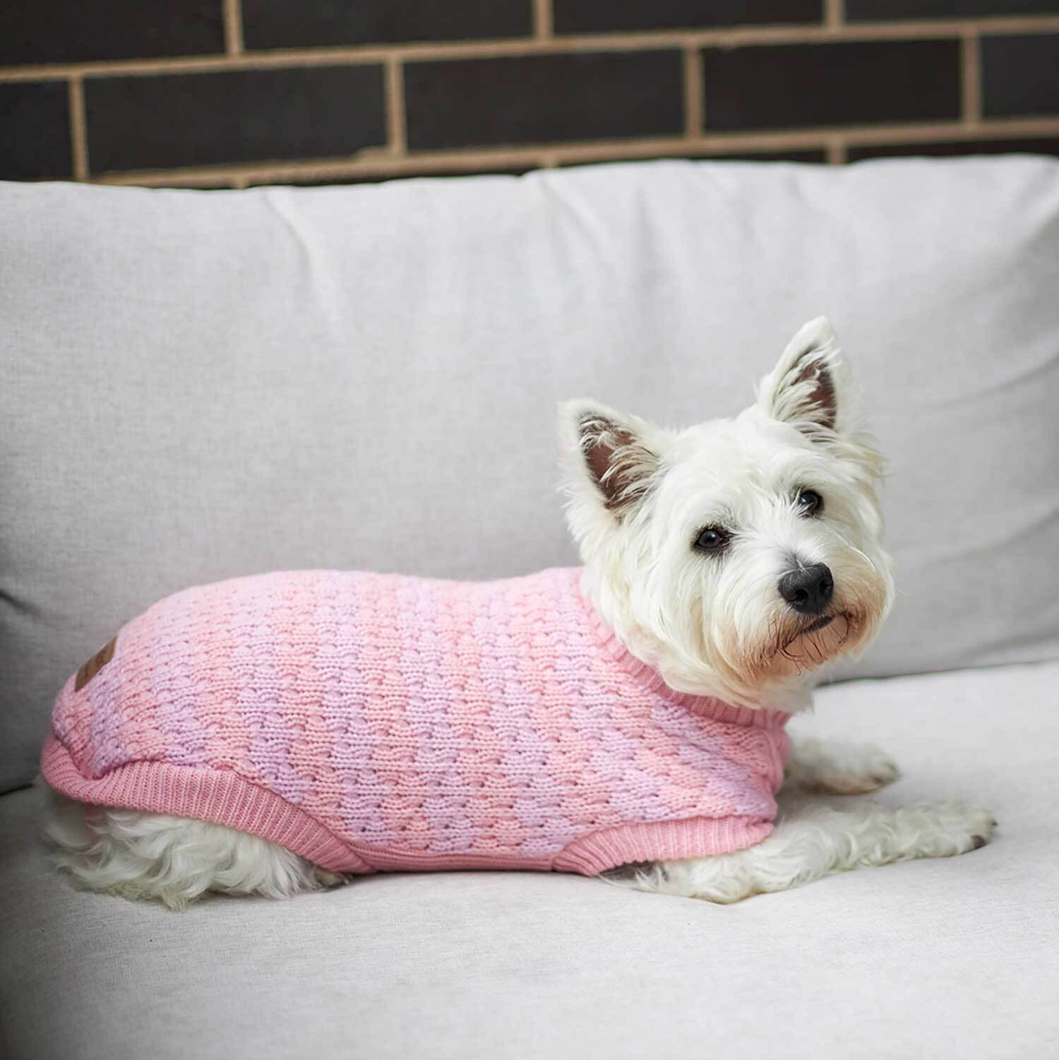 Kazoo shop dog jumper