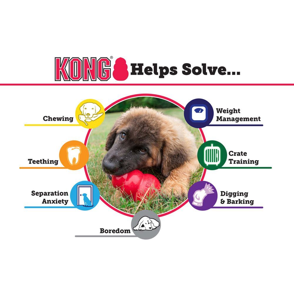 Kong classic extra sales large
