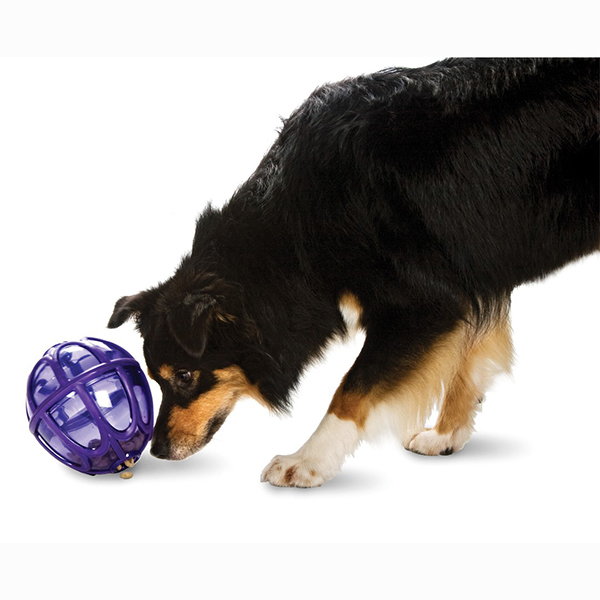 Busy Buddy Kibble Nibble Small