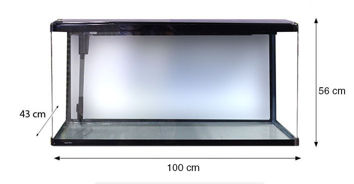 lifestyle 190 complete glass aquarium