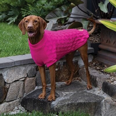 C&m pink jumper outlet