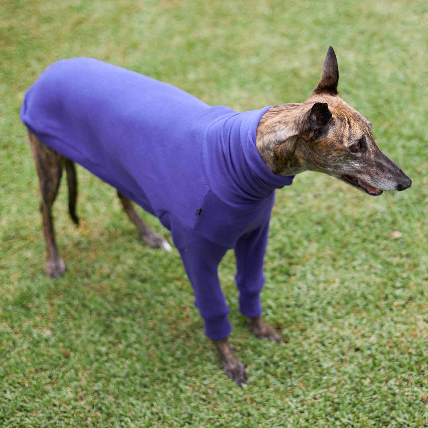 Kazoo Greyhound Jumper Sundown XL Kazoo Jumpers & Coats