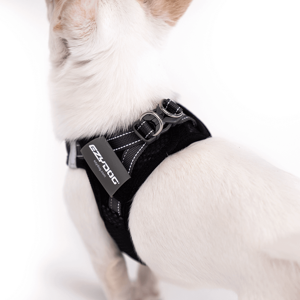 Ezydog sale hot sale