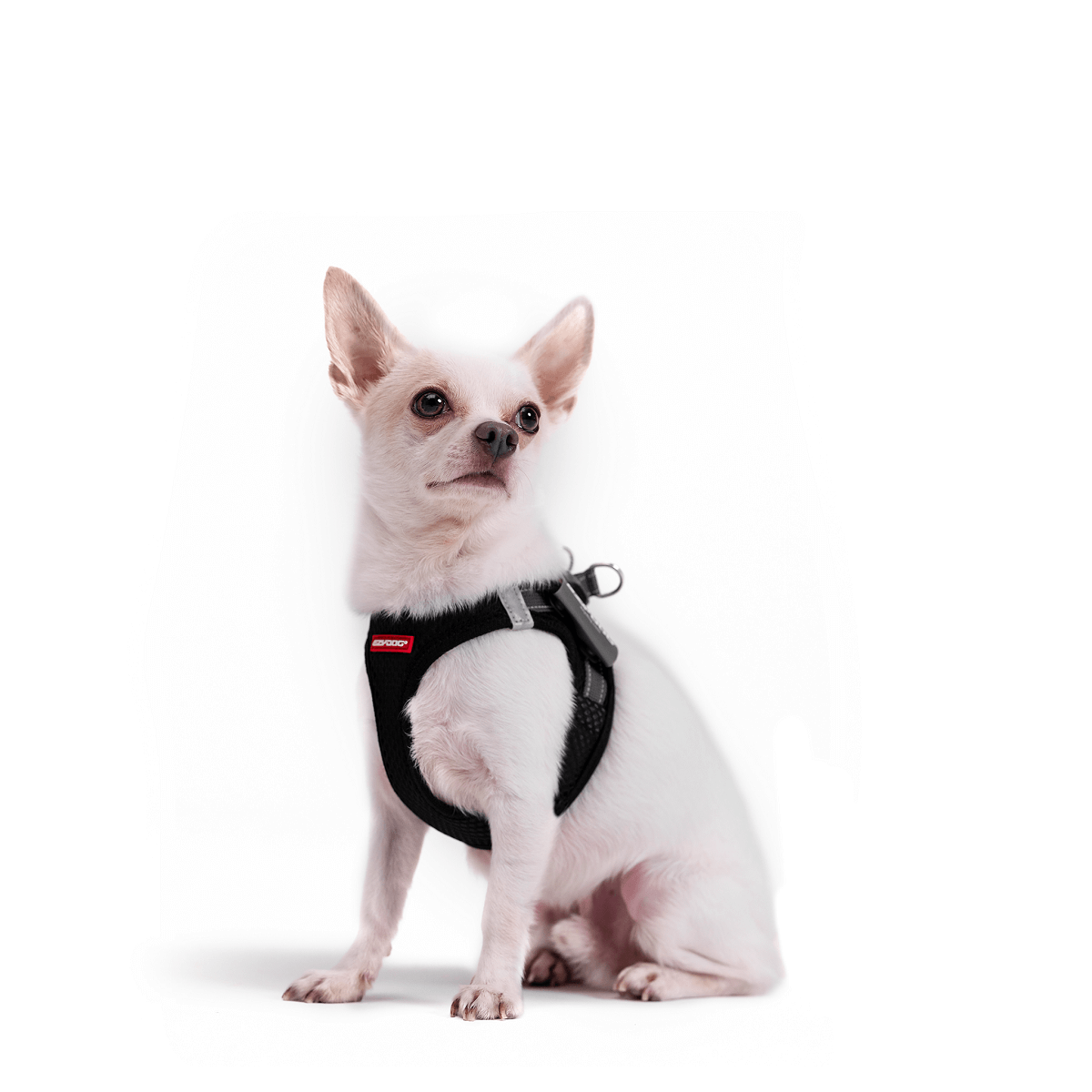 Puppia ritefit dog harness deals