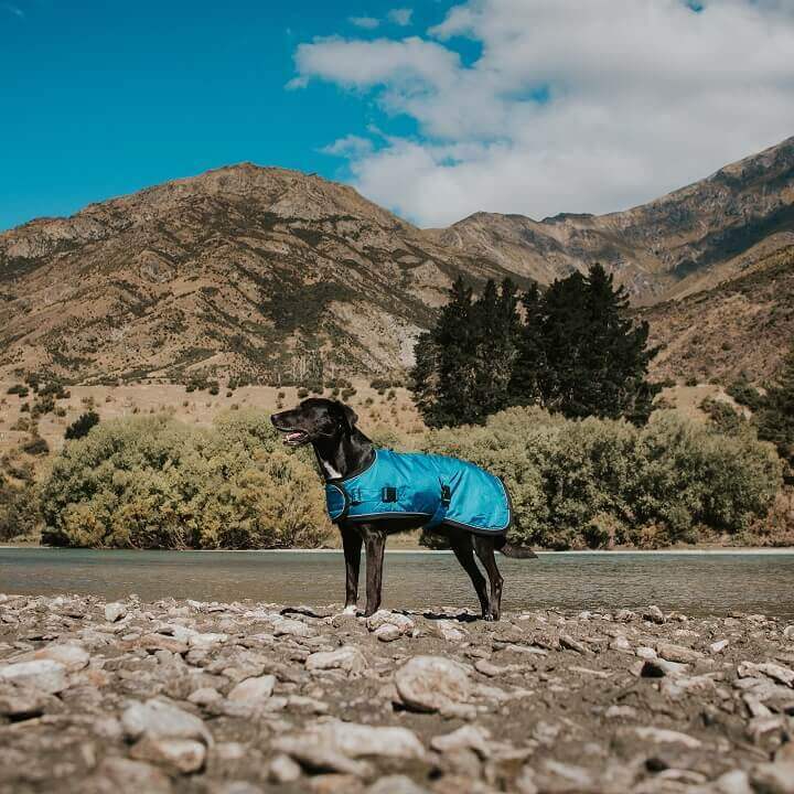 Huskimo Dog Coat Summit Pro Bells Beach 73cm