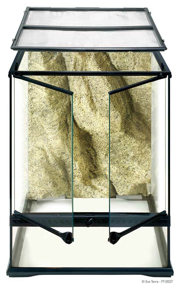 Tall Exo Terra Terrarium