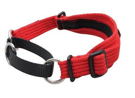 Black dog on sale whippet collar