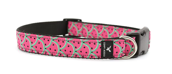 moose dog collar