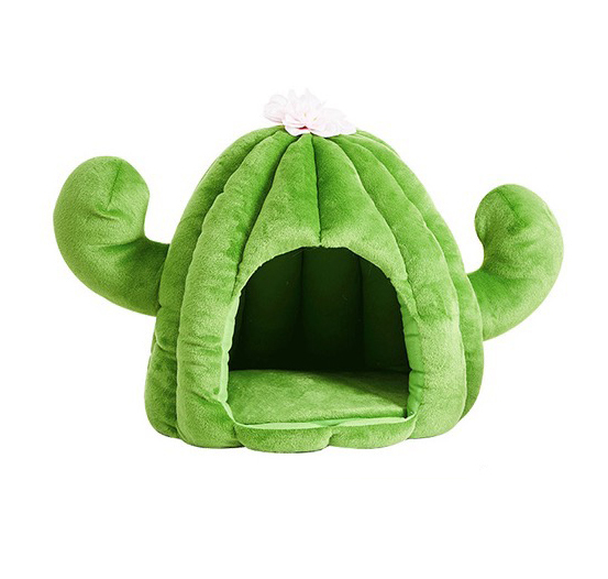 cactus cat bed
