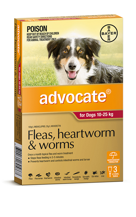 Advocate shop dog medium