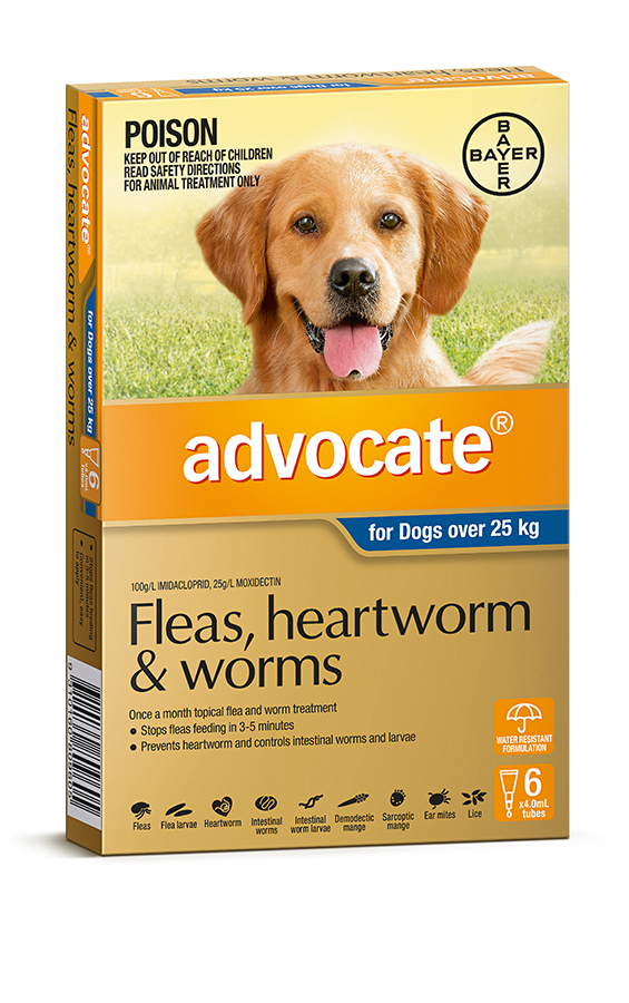 Advocate large dog shop 6 pack