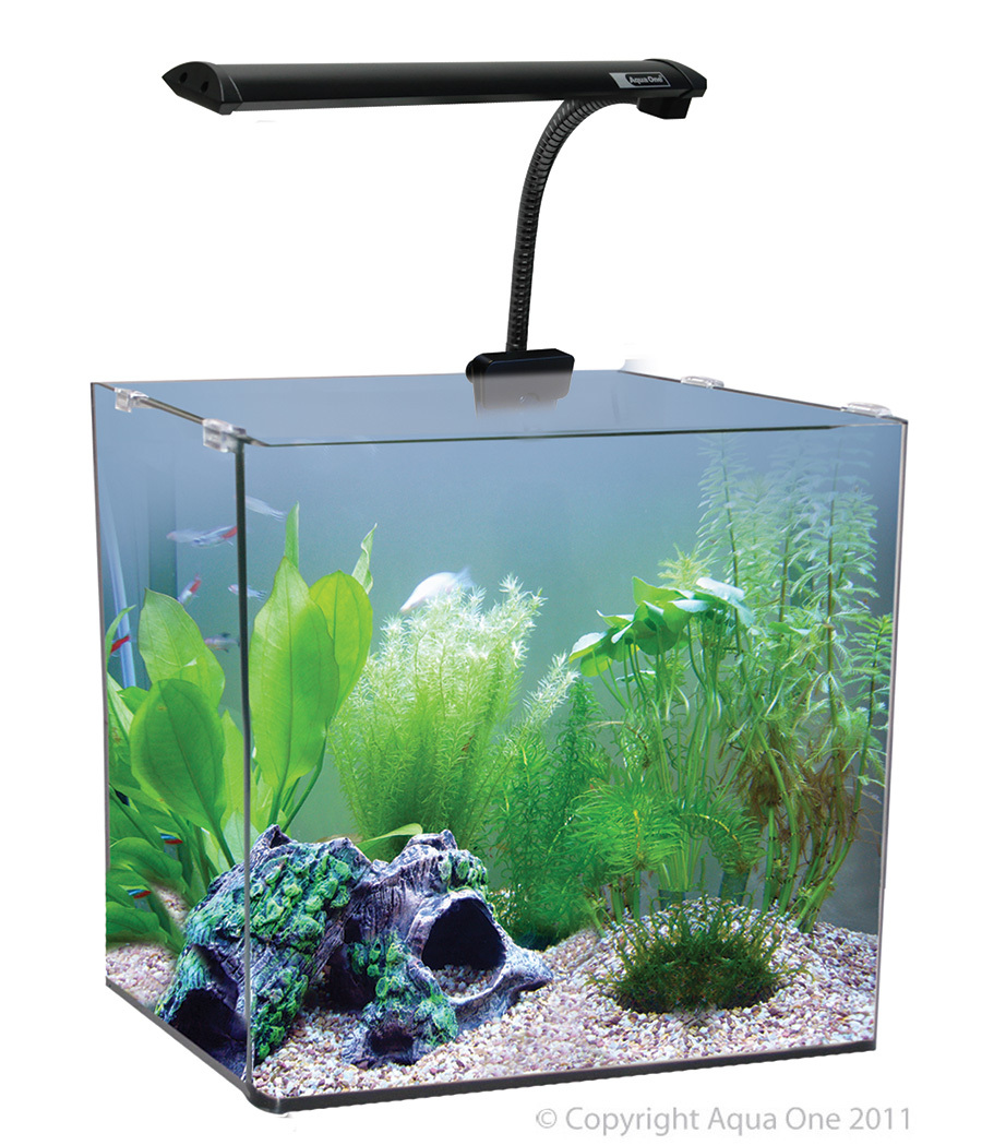 Ondenkbaar Wederzijds uitgehongerd AquaNano 40 55L - Aqua One - Pet City