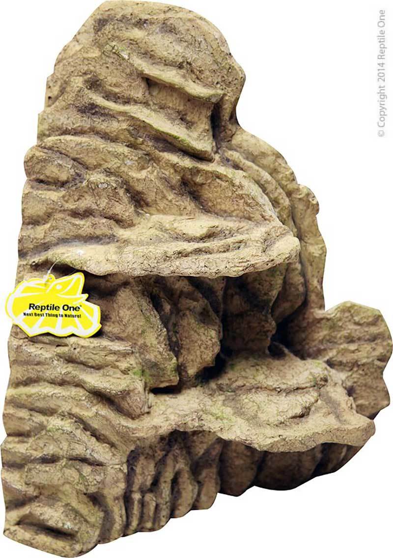 Corner Climbing Ledge Reptile One