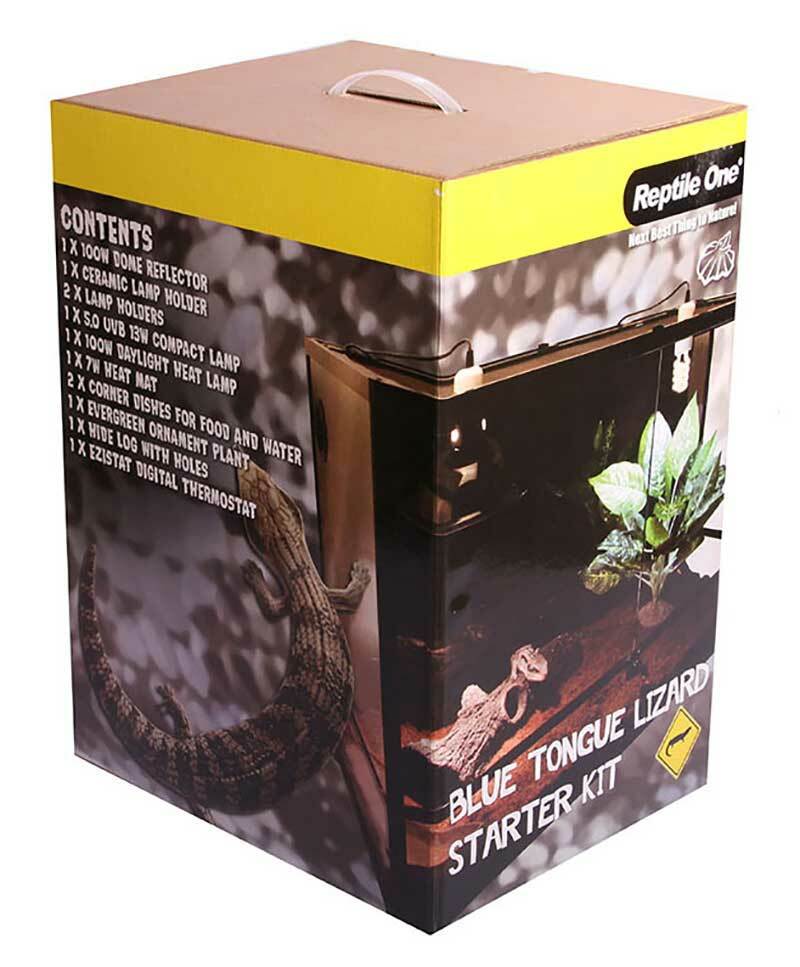 reptile starter kit