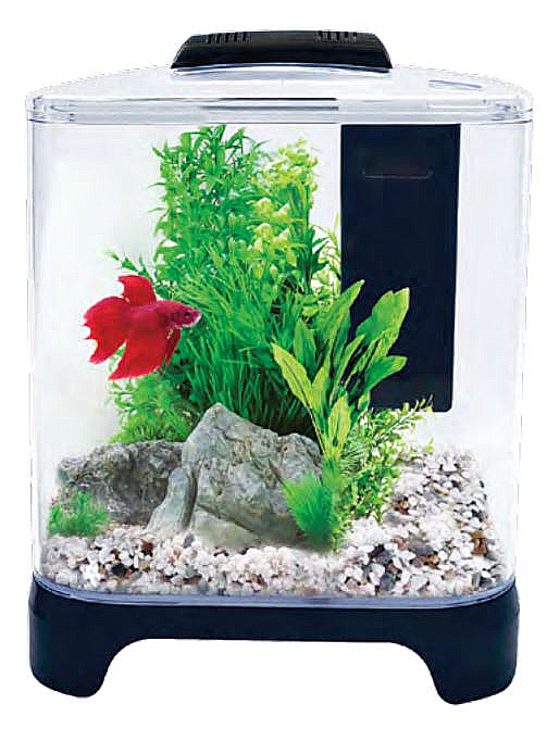 Betta Haven Acrylic Tank 7L