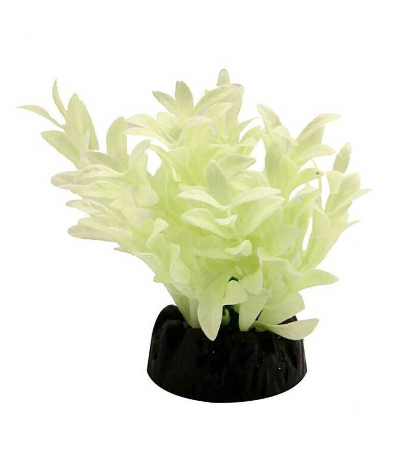 Glow In Dark Plant Aqua One