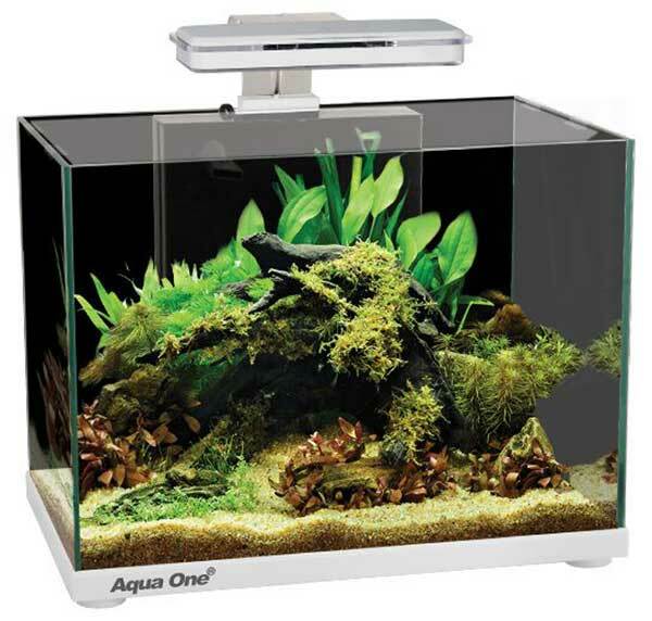 25l fish tank