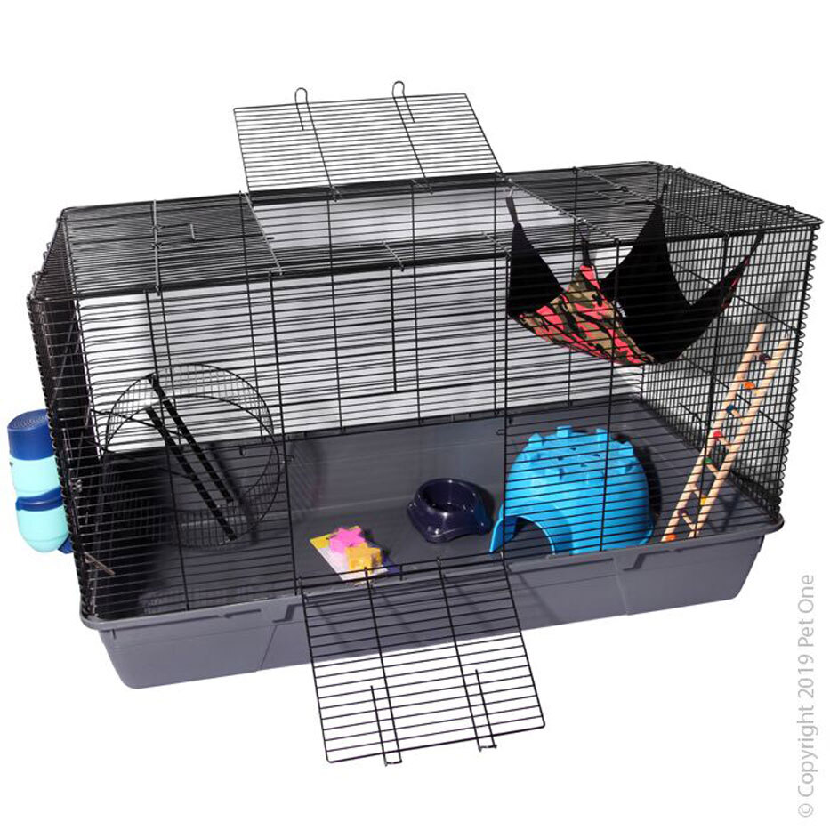 pet rat starter kit