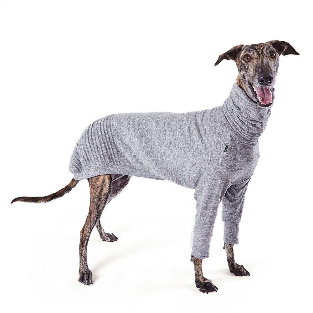 Medium greyhound deals