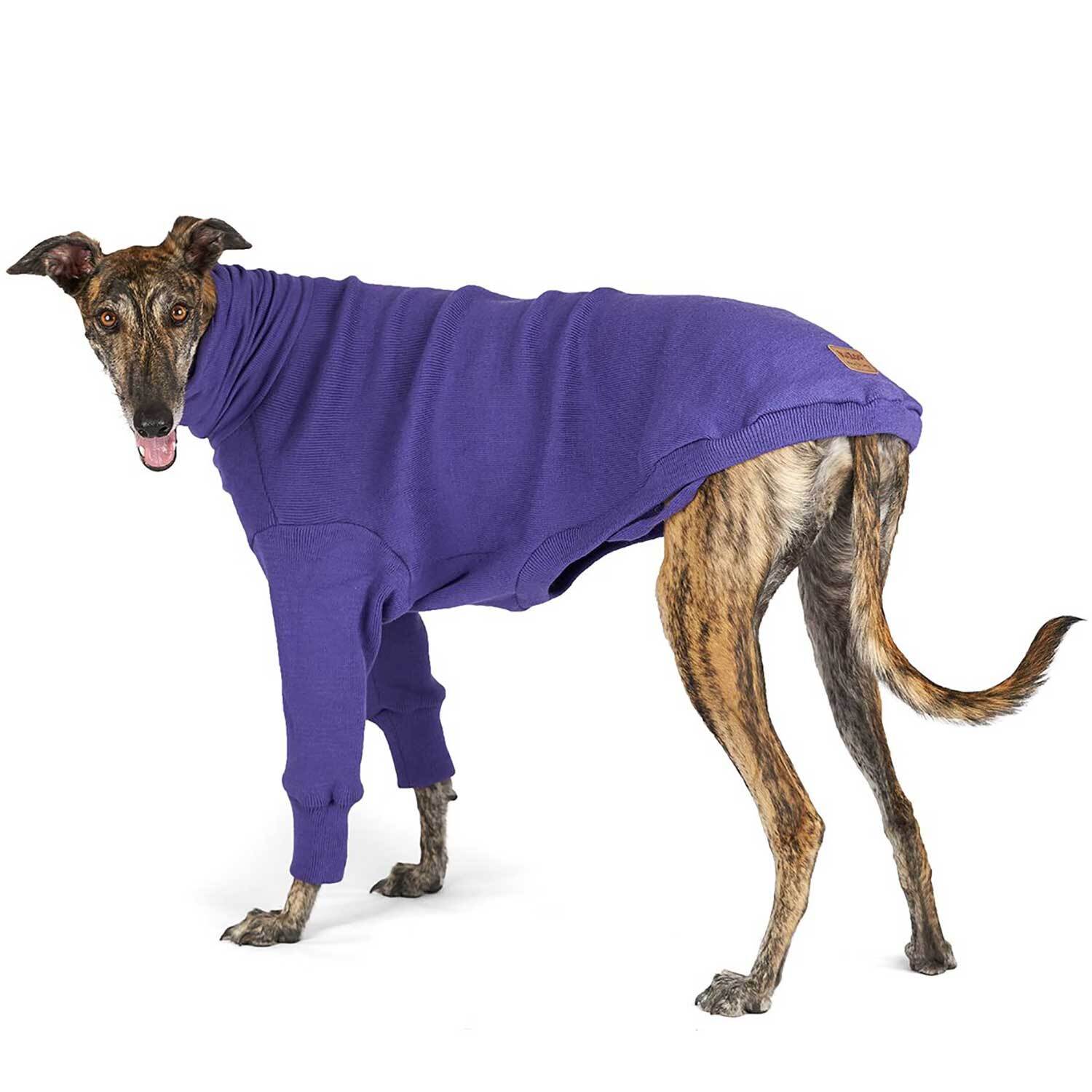Kazoo Greyhound Jumper Sundown XS Kazoo Jumpers Coats
