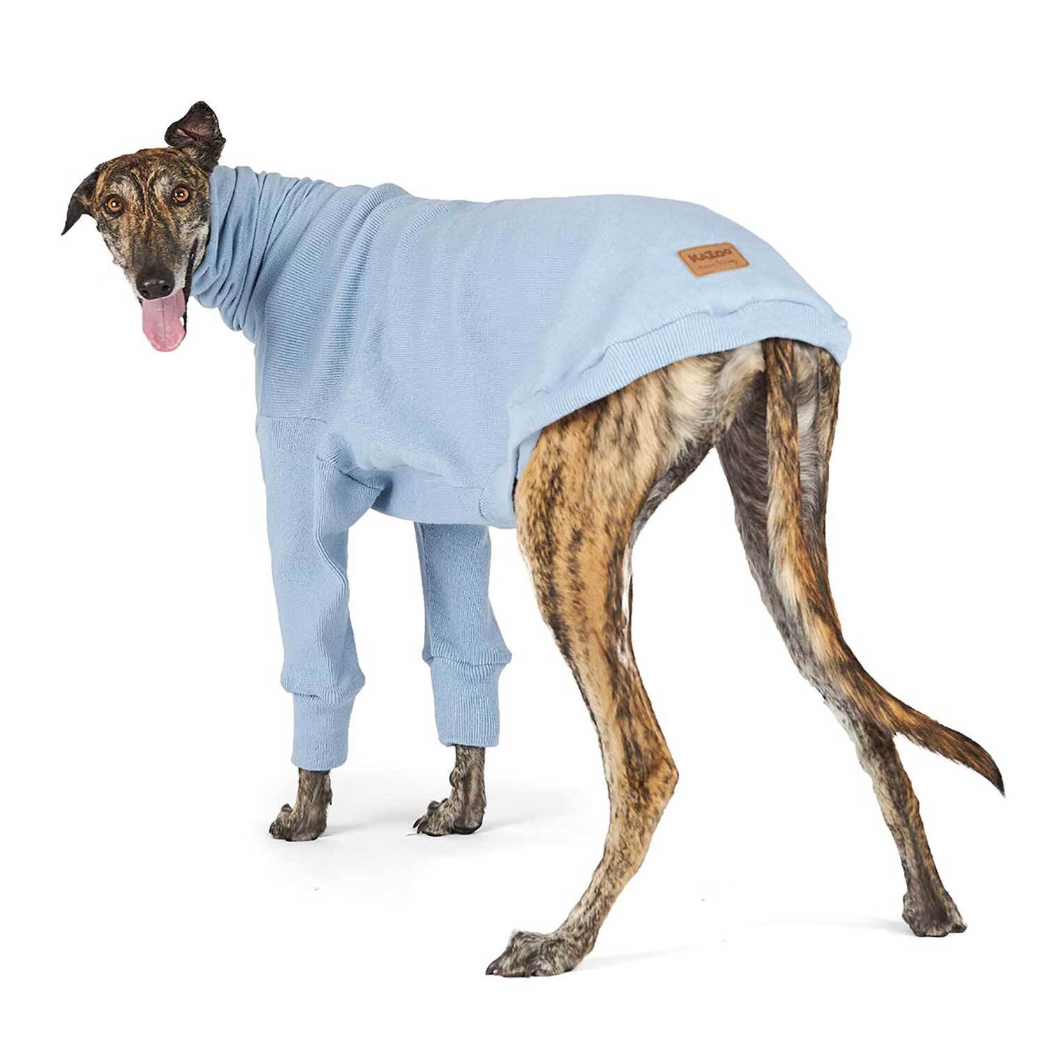 Greyhound jumper sales warehouse