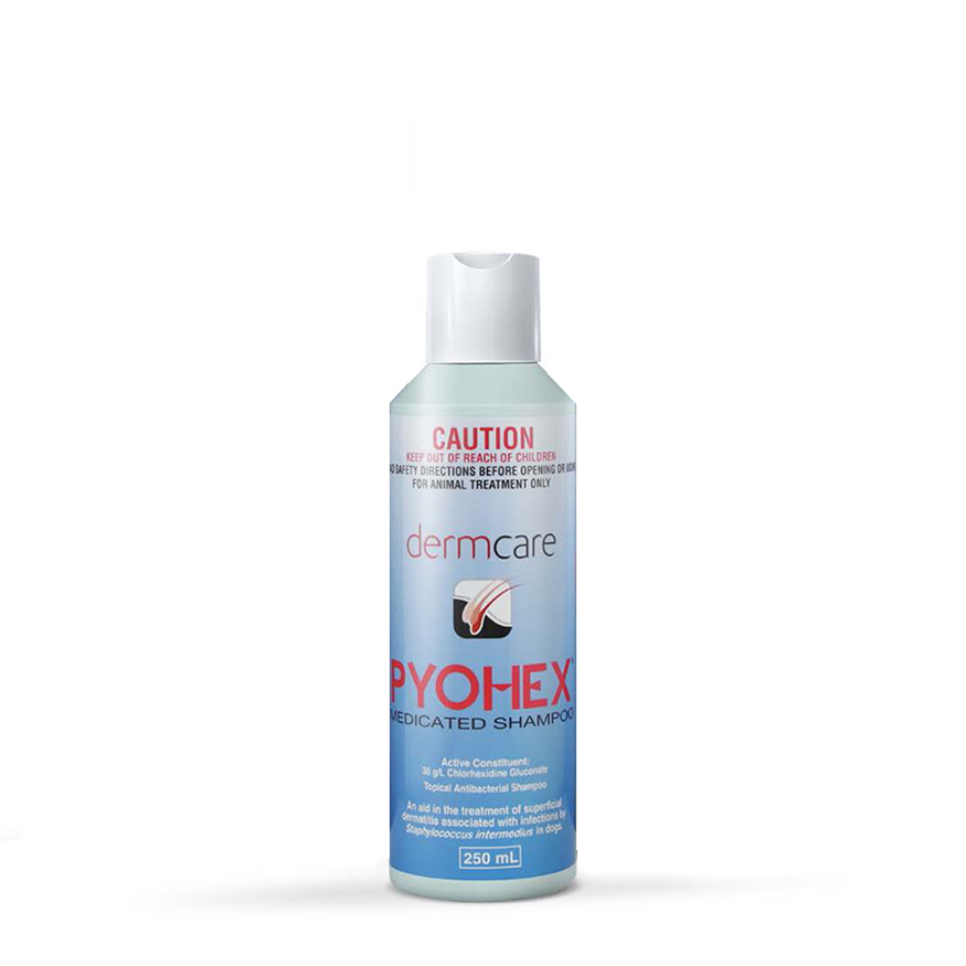 Dermcare sales medicated shampoo