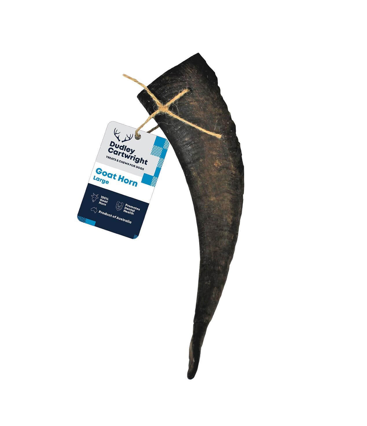 Dudley Cartwright Cropped Goat Horn Dog Treat