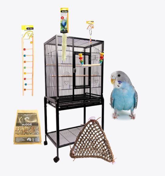 Budgie worming treatment sale