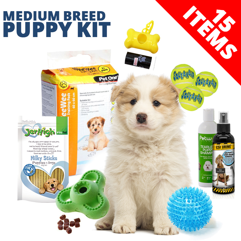 kit and pup toys
