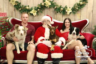 Santa Pet Photos | Book Now | Pet City
