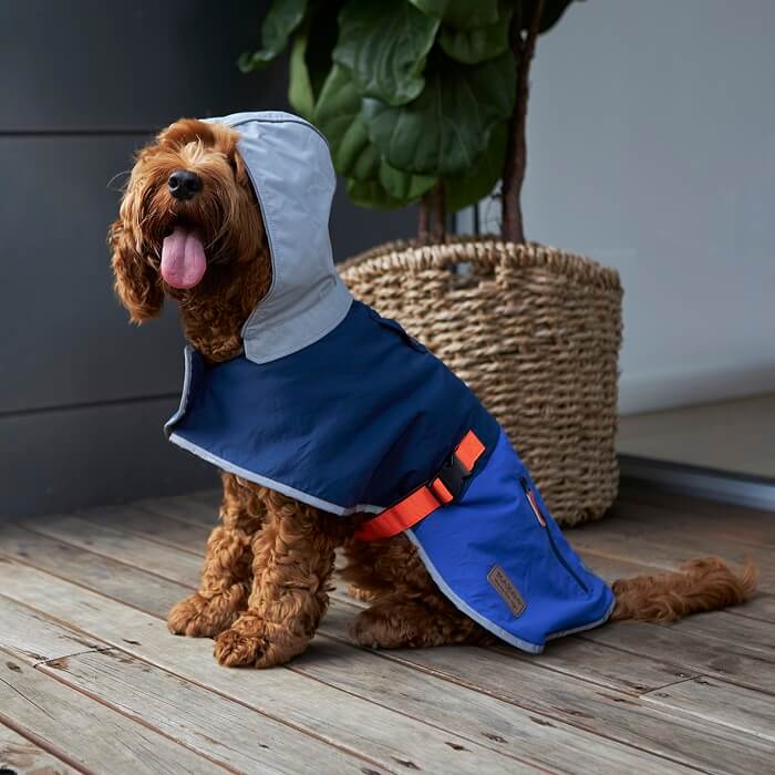 weatherproof dog coats