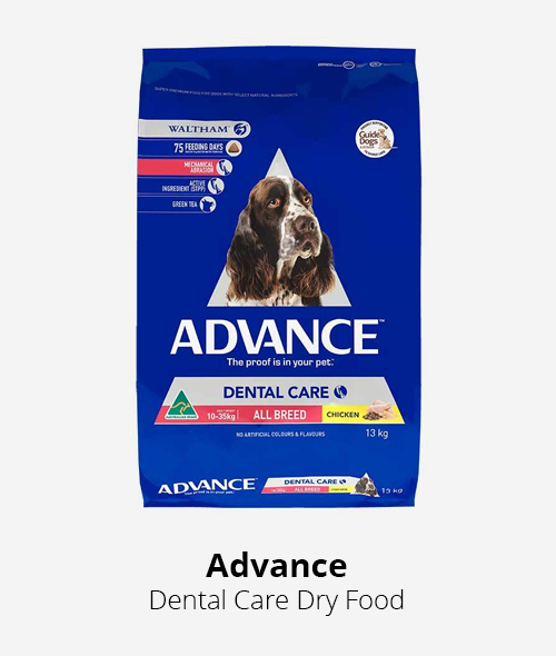 advance dental care dry dog food