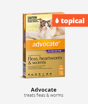 Advocate for cats
