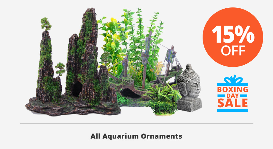 15% off all aquarium ornaments