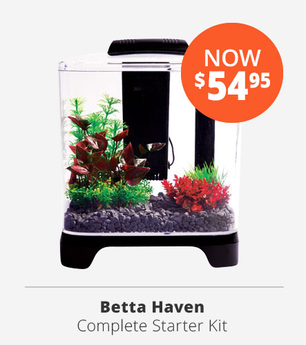 betta haven sale now just 54.95