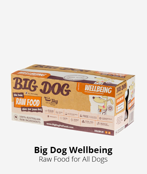 big dog wellbeing raw food 3kg