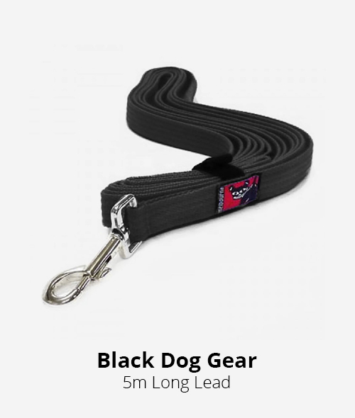 black dog gear 5m long lead