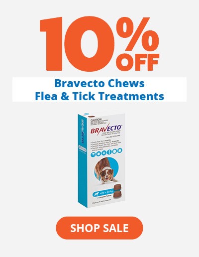 10% off Bravecto Chews